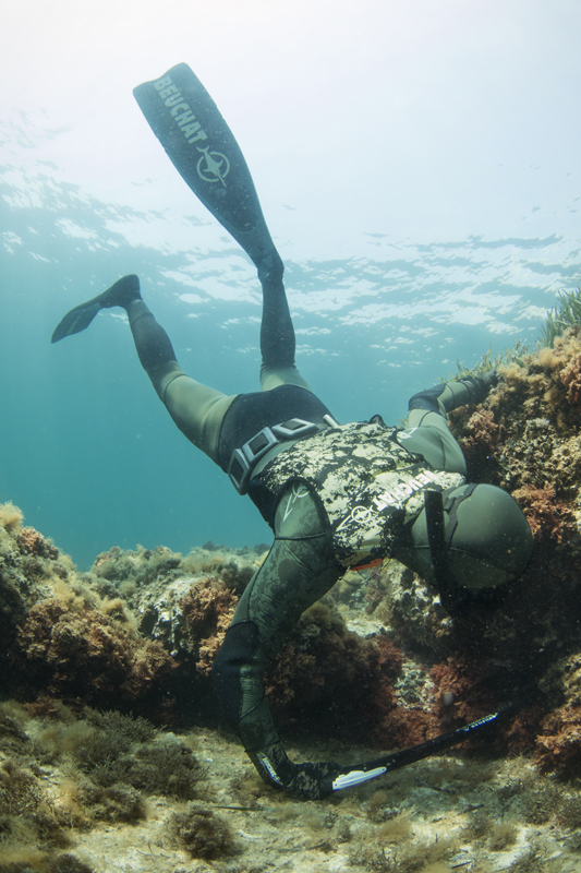 Lame spéciale de plongée sous-marine, coupe-ligne, sécant de chasse sous- marine, équipement de plongée