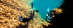 Palmes PowerJet reglables - Aux plongeurs bretons - Magasin de plongée  sous-marine à Perros-Guirec